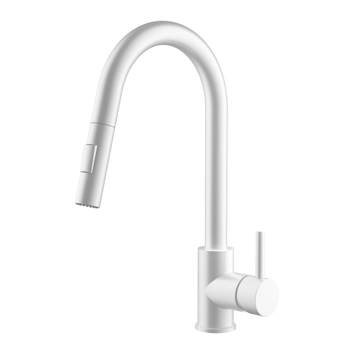 Monroe Pull-Out Kitchen Faucet (Dual Spray)