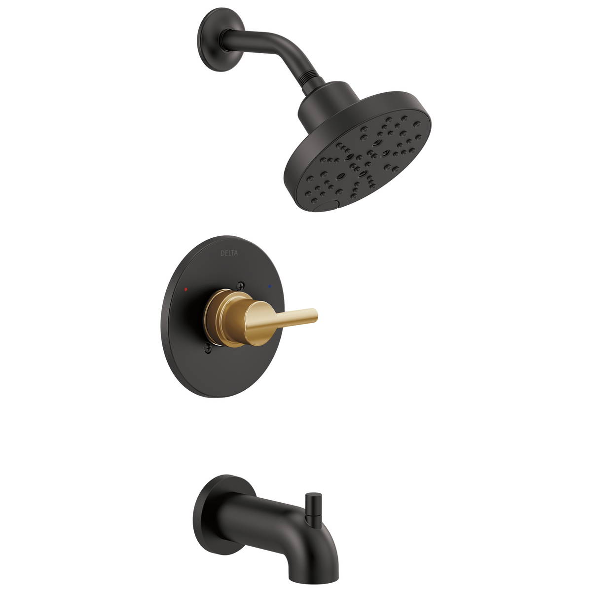 Matte Black / Champagne Bronze