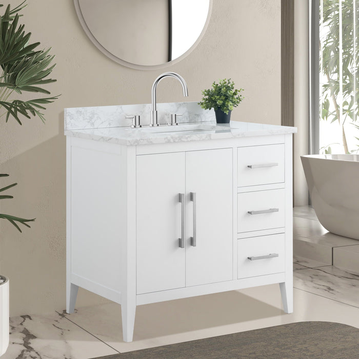 White / Brushed Nickel