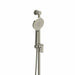 Brushed Nickel / Ceiling Arm