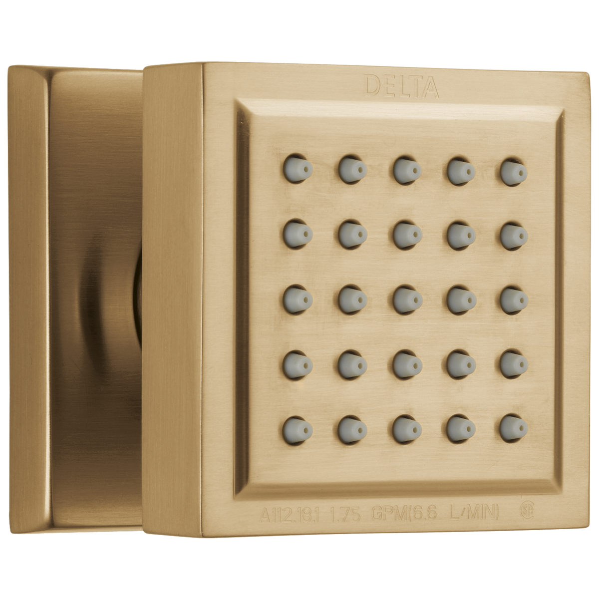 Champagne Bronze