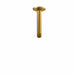 Brushed Gold / Ceiling Arm