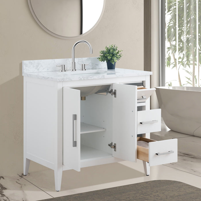 White / Brushed Nickel