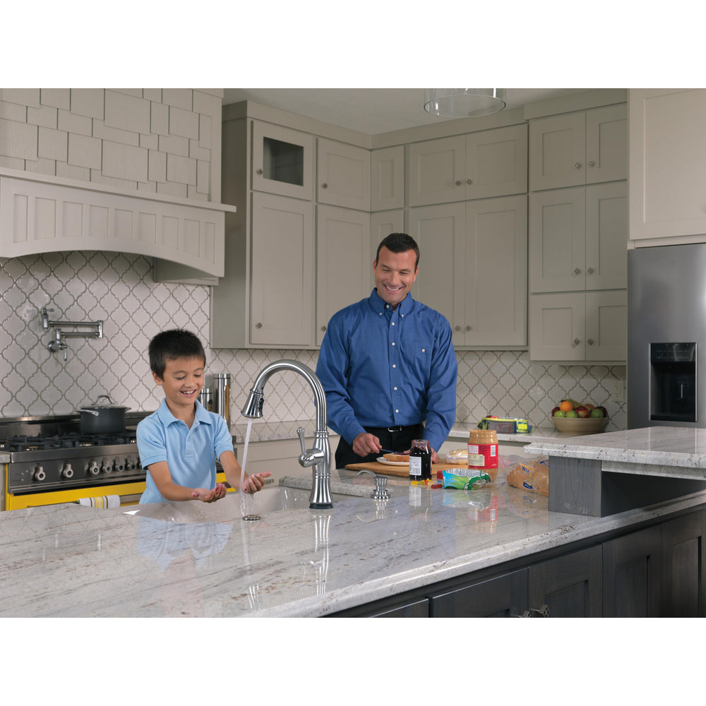 Delta Traditional Wallmount Pot Filler Faucets