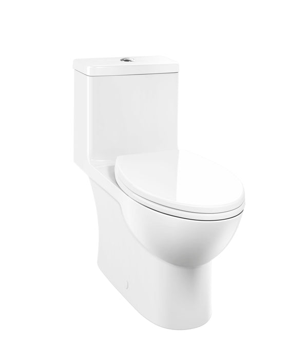 1-Piece Toilets