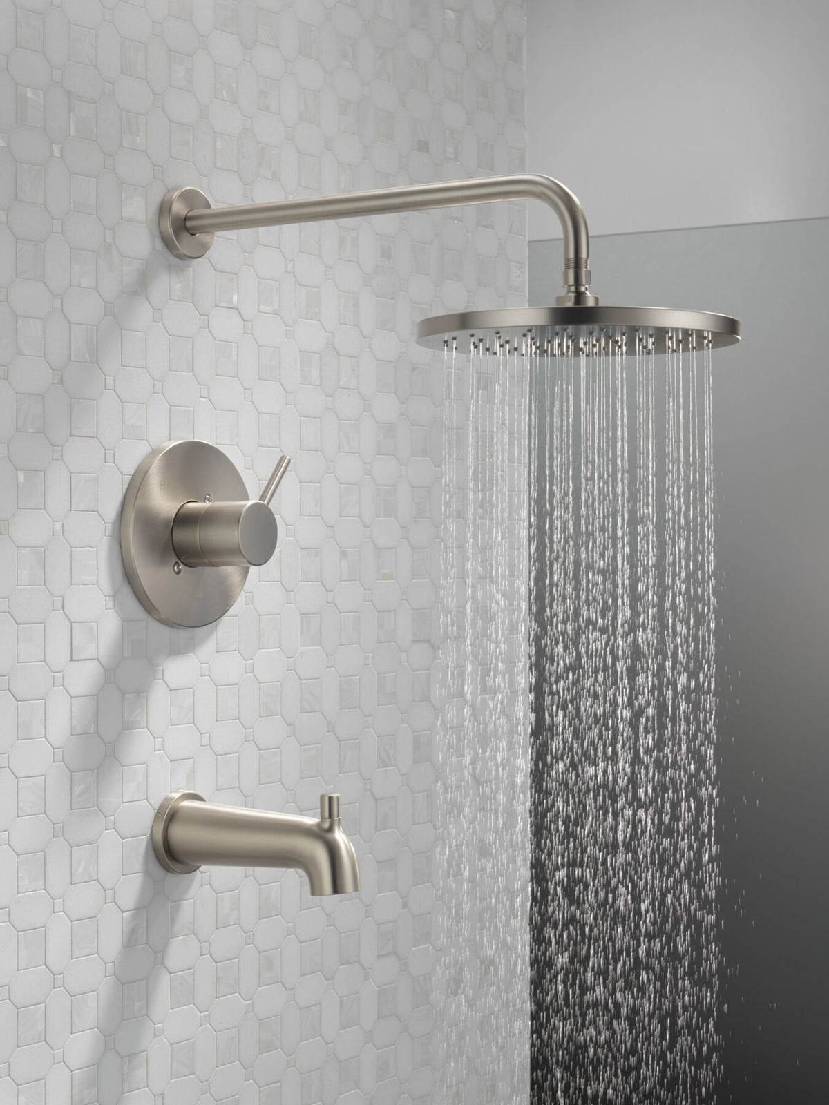 Spotshield Brushed Nickel