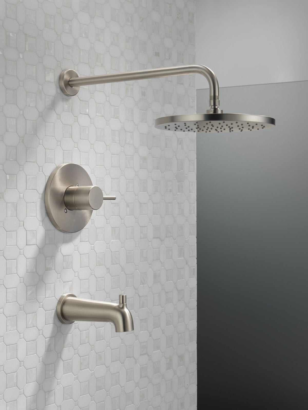 Spotshield Brushed Nickel