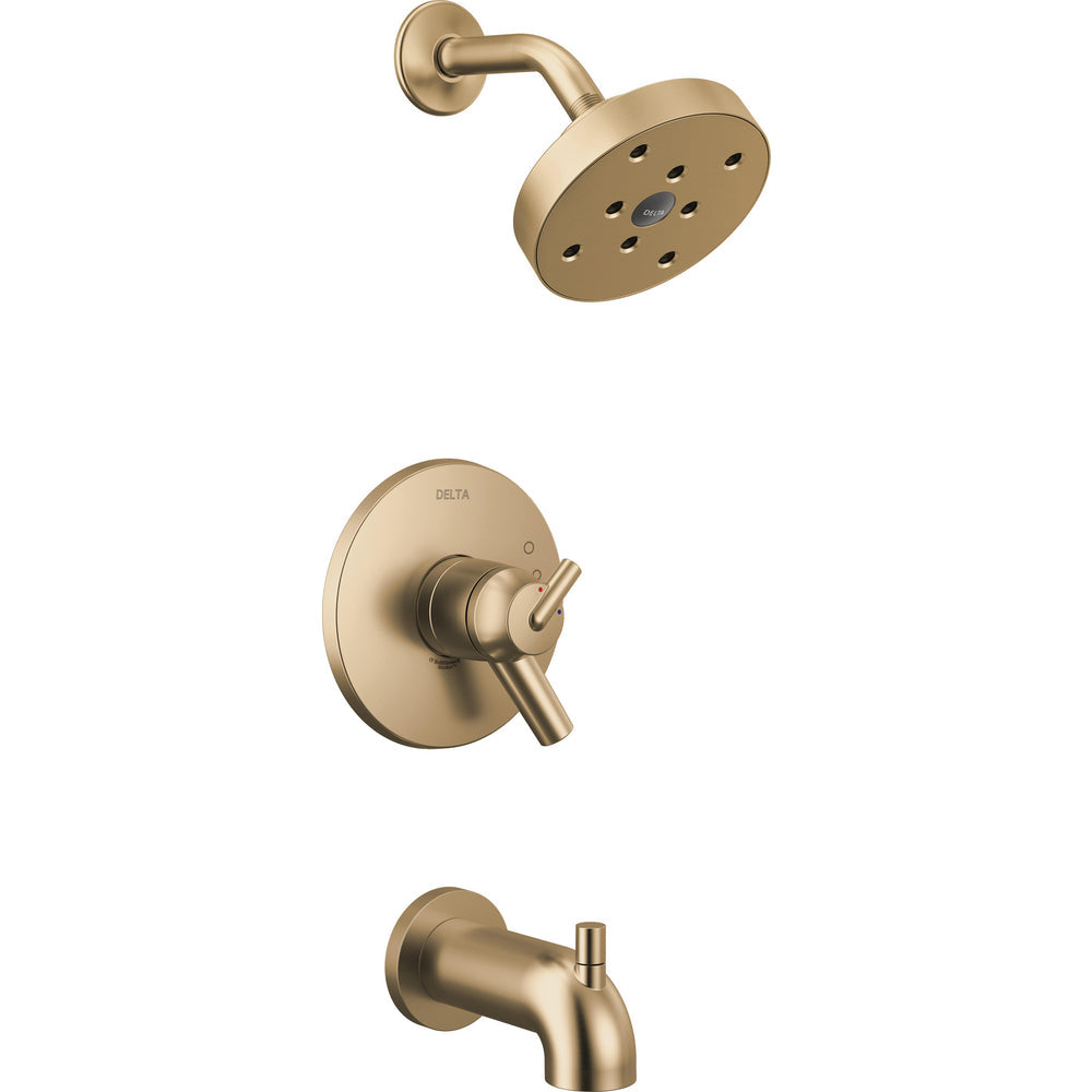Champagne Bronze