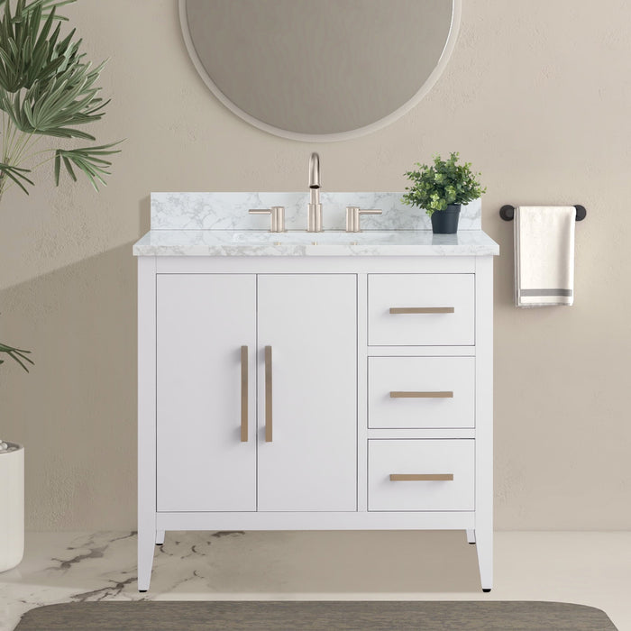 White / Brushed Nickel