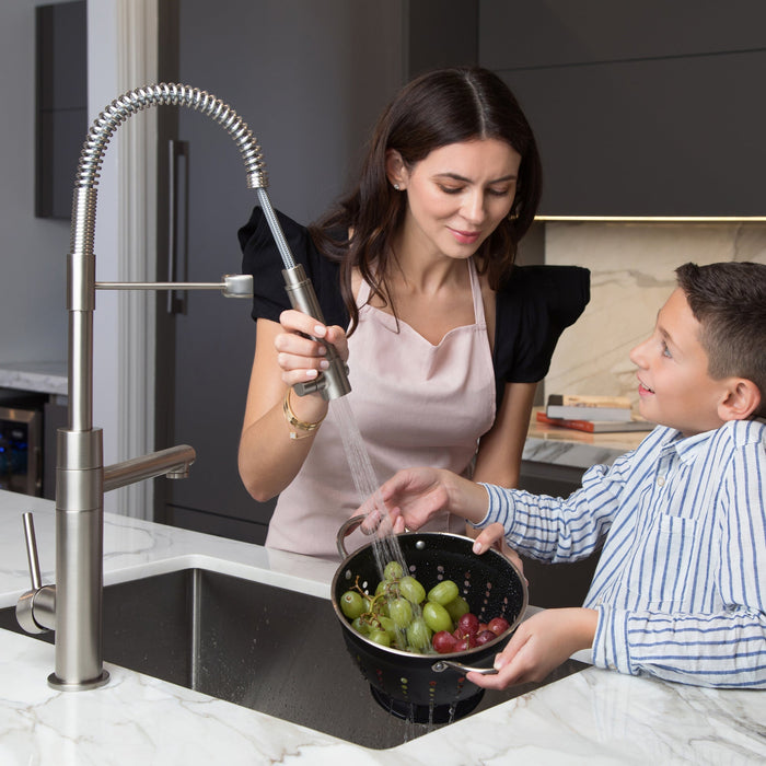 Kraus Artec Pro 2-Function Commercial Style Pre-Rinse Kitchen Faucet with Pull-Down Spring Spout and Pot Filler