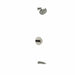 Polished Nickel