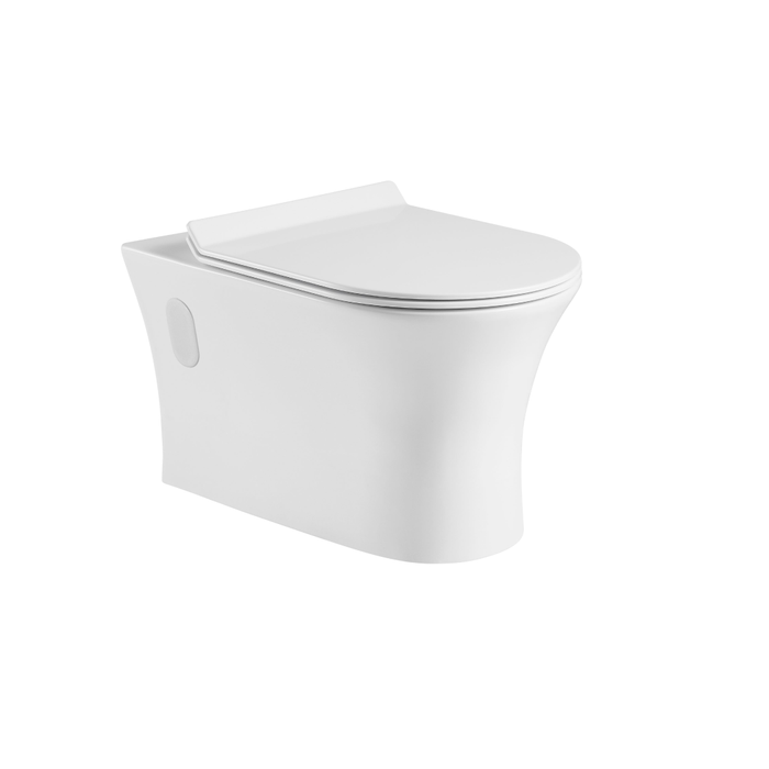 Tabora Dual Flush Wall-mount Toilet with Soft Close Seat