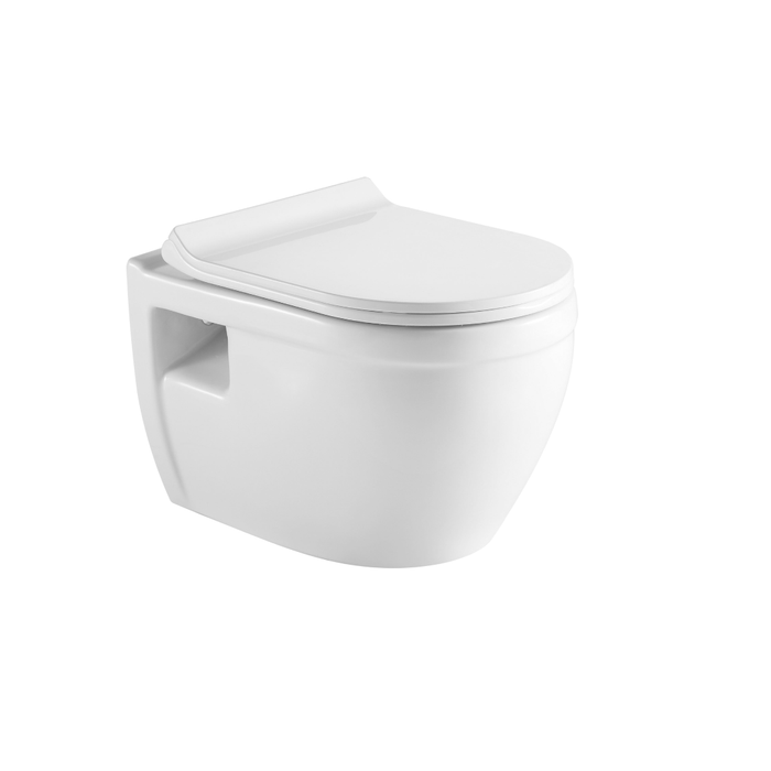 Tiguane Dual Flush Wall-mount Toilet with Soft Close Seat