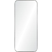 Delphinus 20" x 46" Mirror