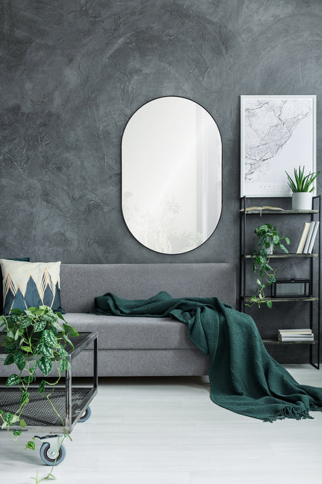 Webster 26" x 40" Mirror